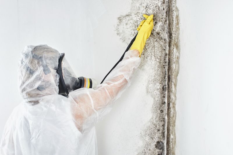Mold Growth